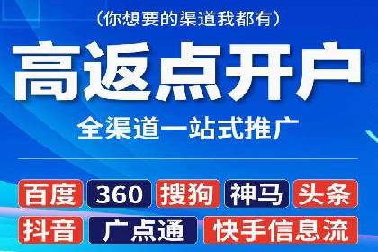 百度竞价SEM案例：揭秘高效广告投放技巧